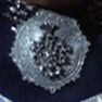 Adama's command medallion.jpg
